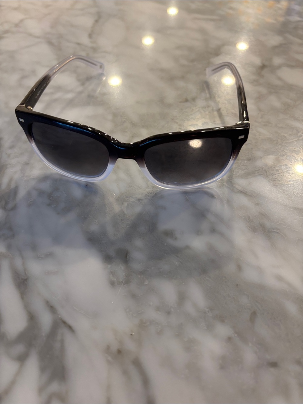 Banana Republic Black-to-Clear Ombre Sunglasses with Smoke Lenses